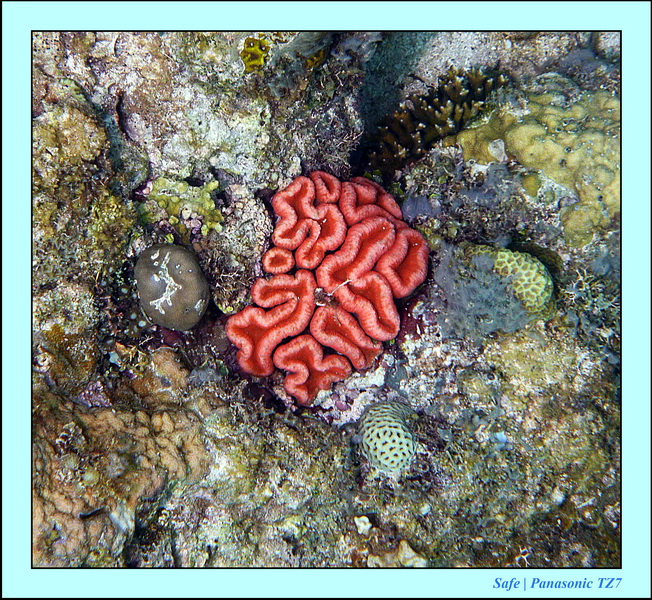 2012 - 07 - Palinton Sanctuary 01